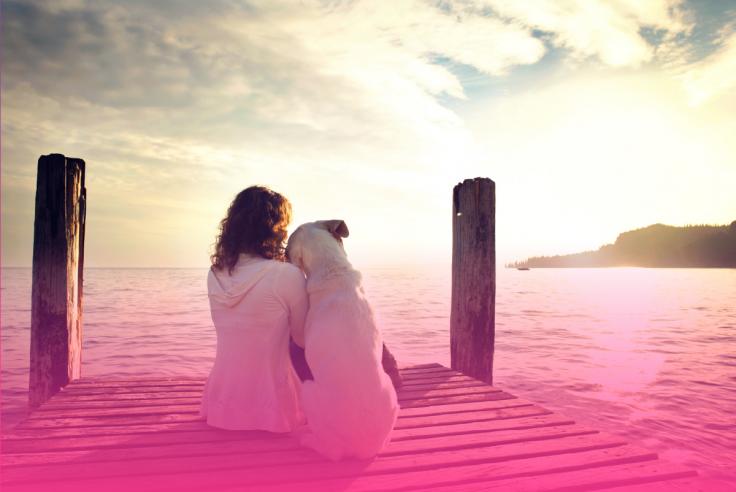 The Future of Lawyer Well-Being: Top Wellness Trends in Canada's Legal Market